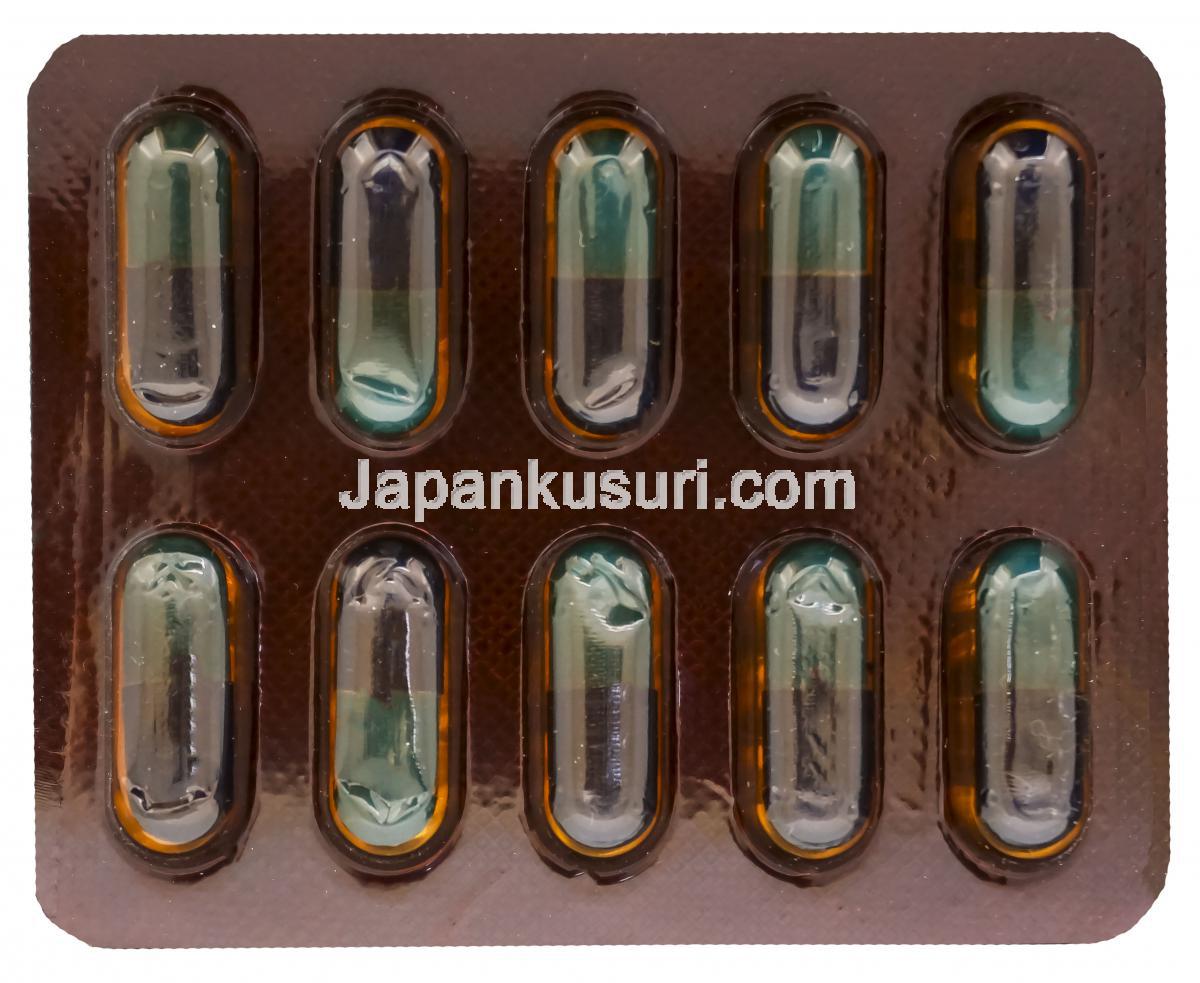 リンコマイシン塩酸塩 Teuto リーフレット